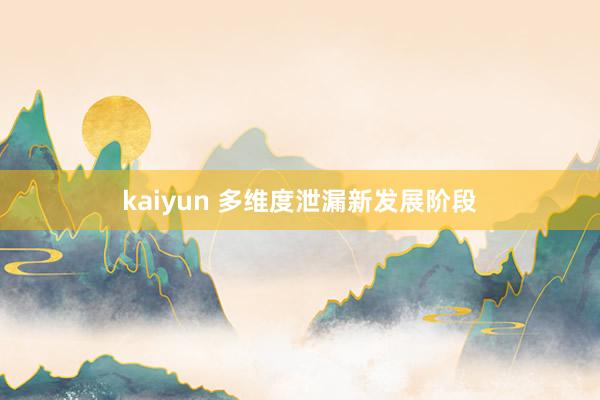 kaiyun 多维度泄漏新发展阶段