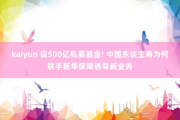 kaiyun 设500亿私募基金! 中国东谈主寿为何联手新华保障诱导新业务