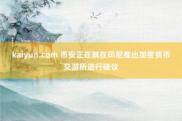 kaiyun.com 币安正在就在印尼推出加密货币交游所进行磋议