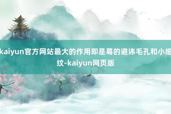 kaiyun官方网站最大的作用即是蓦的避讳毛孔和小细纹-kaiyun网页版